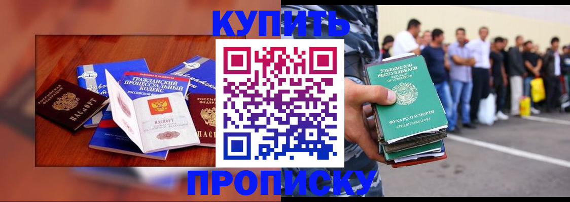 прописка для школы в Звенигово