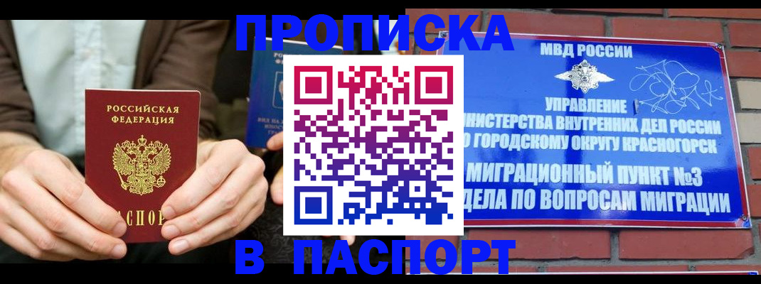 где прописаться в Звенигово